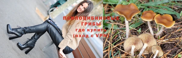 хмурый Армянск
