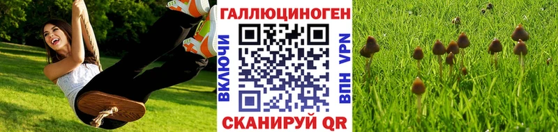 МЕГА зеркало цены Валдай Псилоцибиновые грибы ЛСД